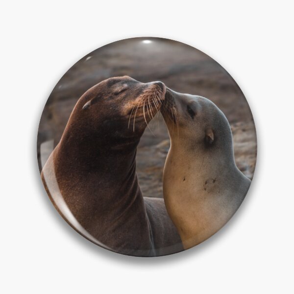 Item preview, Sea Lion Love designed and sold by kingdrygoods.