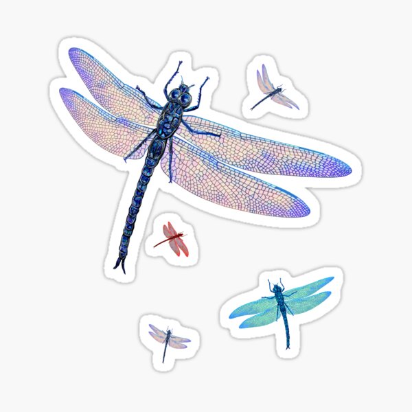 Dragonflies Insects Bugs Springtime Sticker