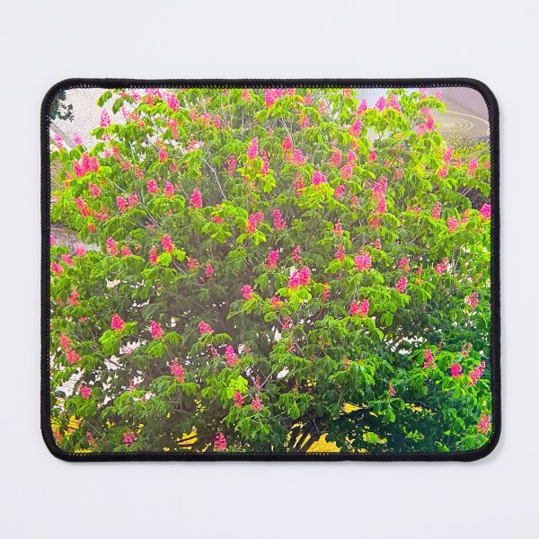 Item preview, Lisbon garden designed and sold by Tereza Pilar Art.