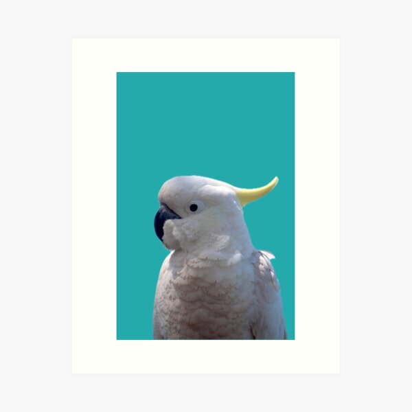 Item preview, Cockatoo portrait with teal background designed and sold by FutyDree.