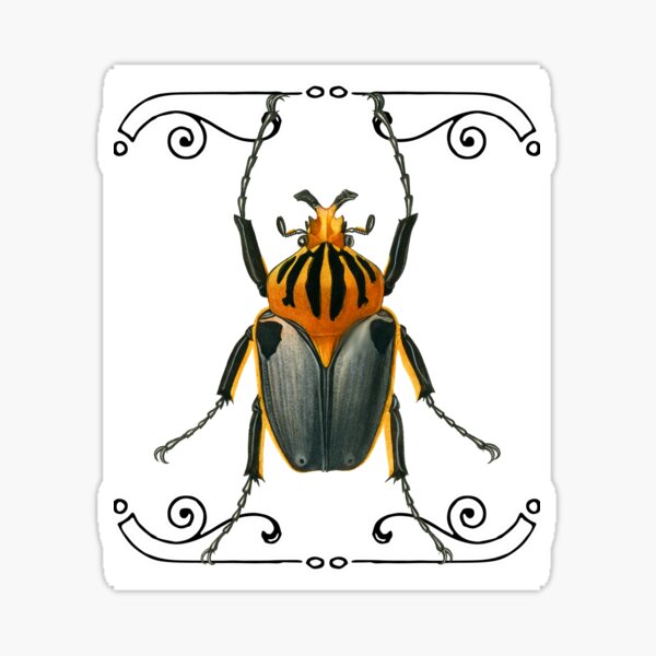 Item preview, Beetle  designed and sold by Gabbo-rb.