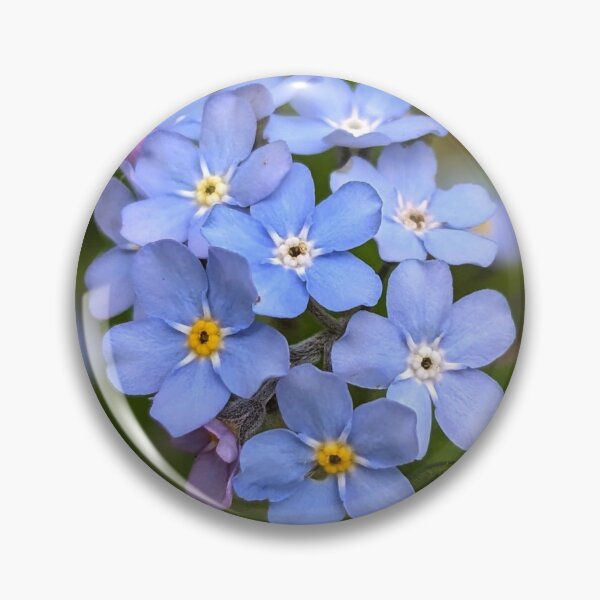 Item preview, Forget me not  designed and sold by Sweetwater27.