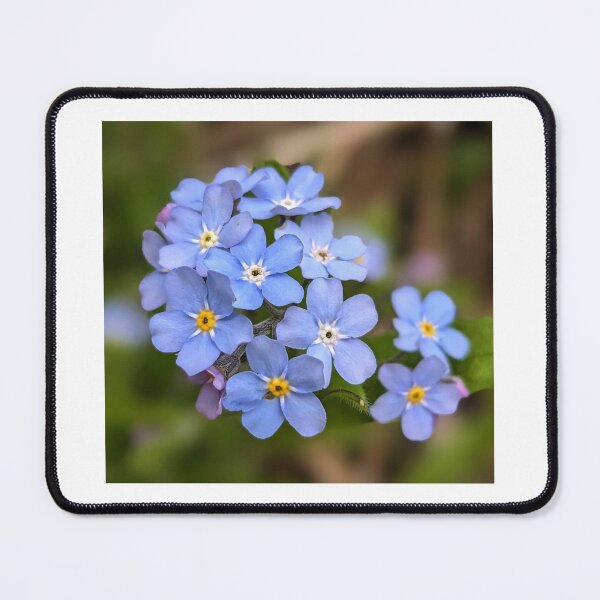 Item preview, Forget me not designed and sold by Sweetwater27.