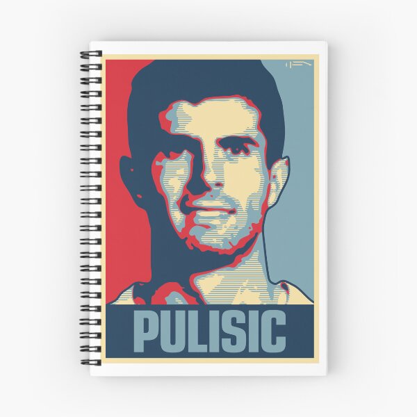 Item preview, Pulisic designed and sold by DFA.