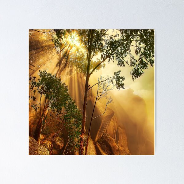 Item preview, Cliff face in mist, Mount Buffalo designed and sold by Kevin McGennan.