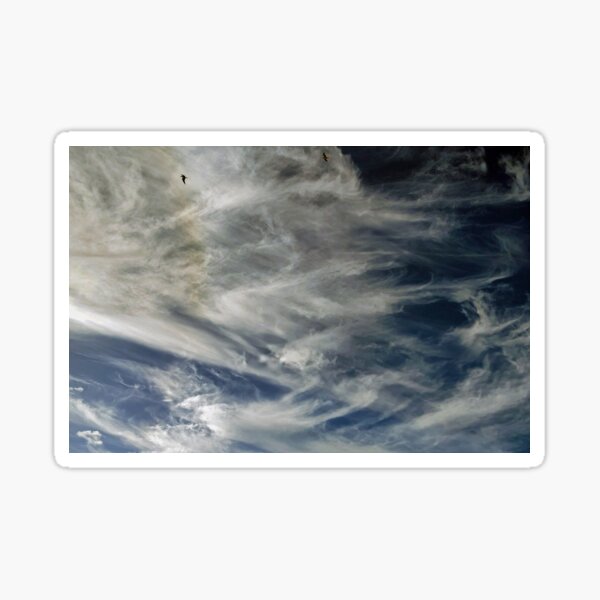 Item preview, Clouds and Gulls 109 designed and sold by neandercol.