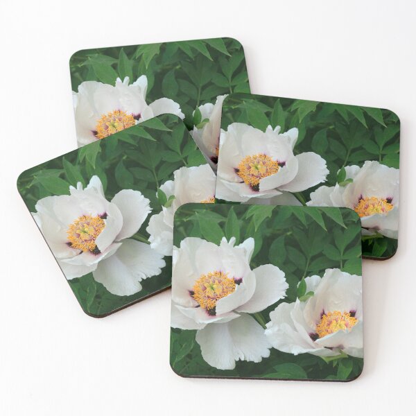 Item preview, Two colorful flowers in spring garden designed and sold by olena2552.