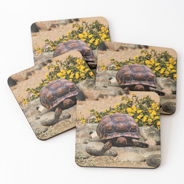 Item preview, Tortoise in the Garden designed and sold by heatherfriedman.