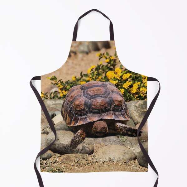Item preview, Tortoise in the Garden designed and sold by heatherfriedman.