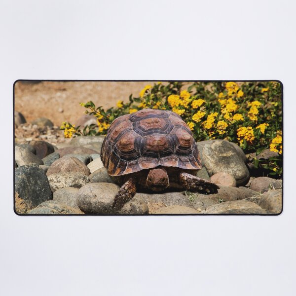Item preview, Tortoise in the Garden designed and sold by heatherfriedman.