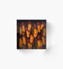 FireFeathers Acrylic Block