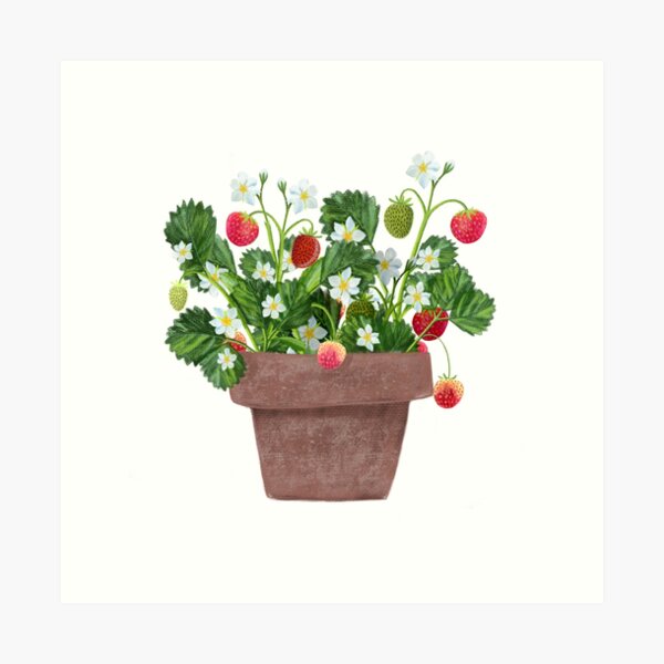 Item preview, Summer Berries designed and sold by Debi Hudson.