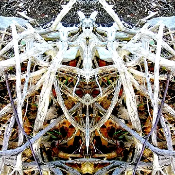 Vorschaubild zum Design Geist von InfinitePathArt