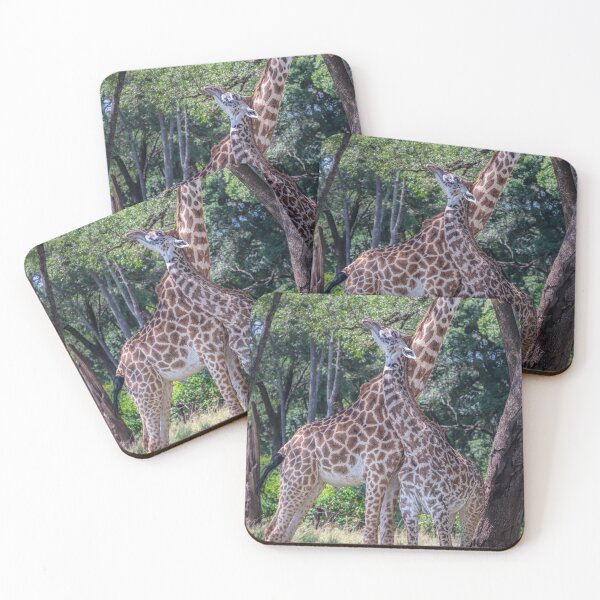 Item preview, Two Giraffes Rubbing Necks Kenya designed and sold by PhotoArt by Joan Carroll.
