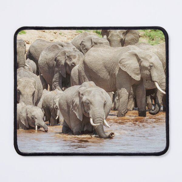 Item preview, Elephants Start to Cross the River 1 Masai Mara Kenya designed and sold by PhotoArt by Joan Carroll.