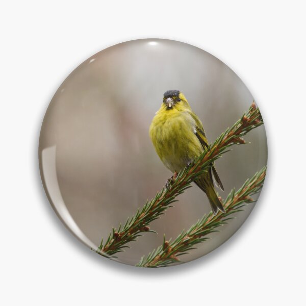 Item preview, Bold minimal. Eurasian siskin designed and sold by Jouko Lehto Photography.