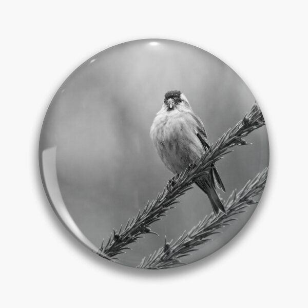 Item preview, Bold minimal. Eurasian siskin bw designed and sold by Jouko Lehto Photography.