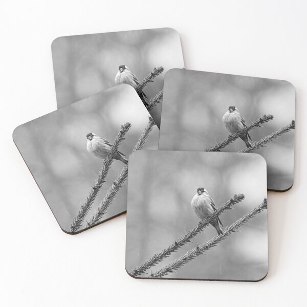 Item preview, Bold minimal. Eurasian siskin bw designed and sold by Jouko Lehto Photography.