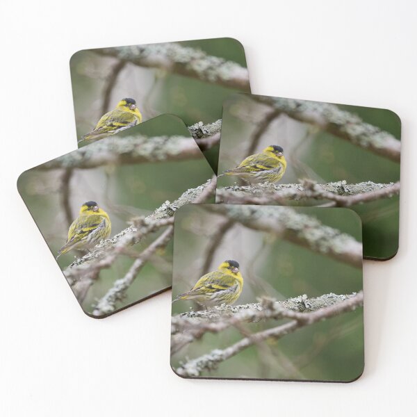 Item preview, Bright male, Eurasian siskin designed and sold by Jouko Lehto Photography.