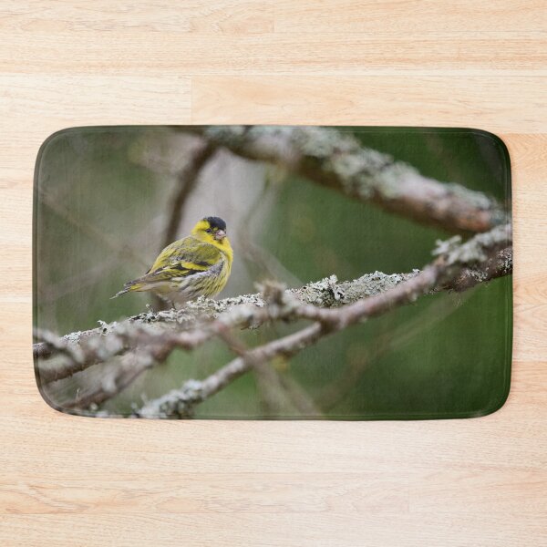 Item preview, Bright male, Eurasian siskin designed and sold by Jouko Lehto Photography.