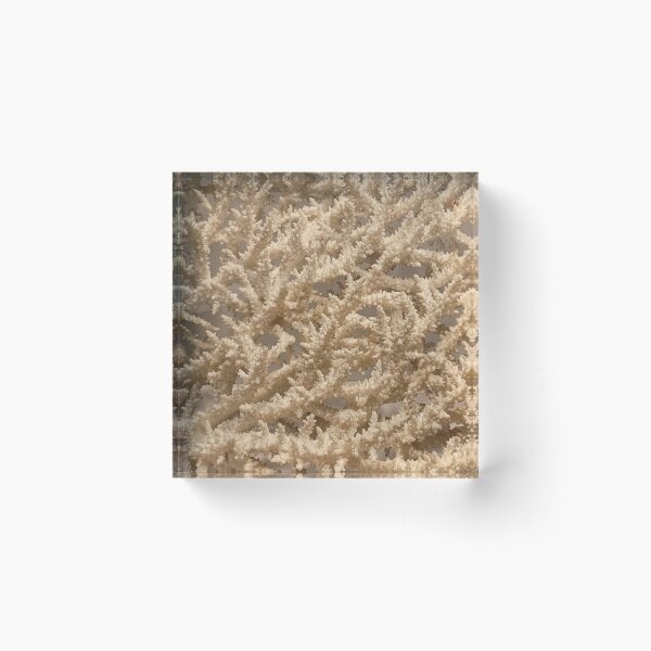 Item preview, Natural Pattern Organic Nature Coral White Branches II designed and sold by Irina Sztukowski.