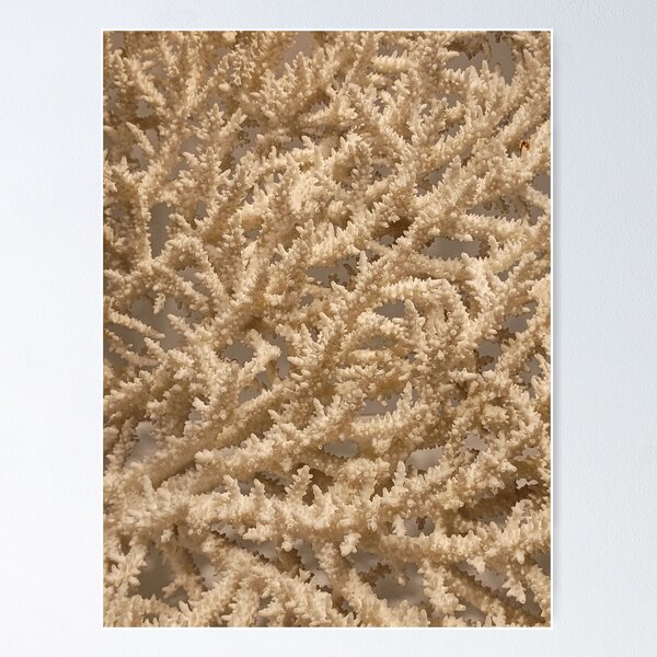 Item preview, Natural Pattern Organic Nature Coral White Branches II designed and sold by Irina Sztukowski.