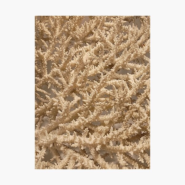 Item preview, Natural Pattern Organic Nature Coral White Branches II designed and sold by Irina Sztukowski.