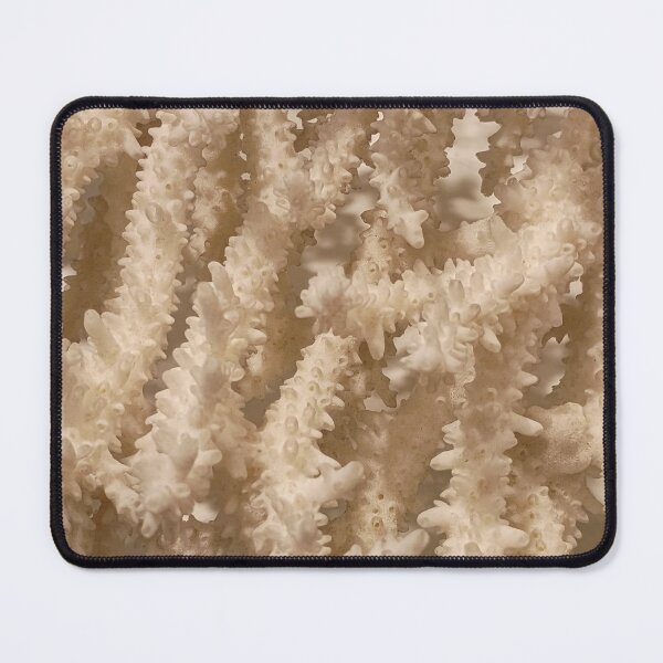 Item preview, Natural Pattern Organic Nature Coral White Branches IV designed and sold by Irina Sztukowski.