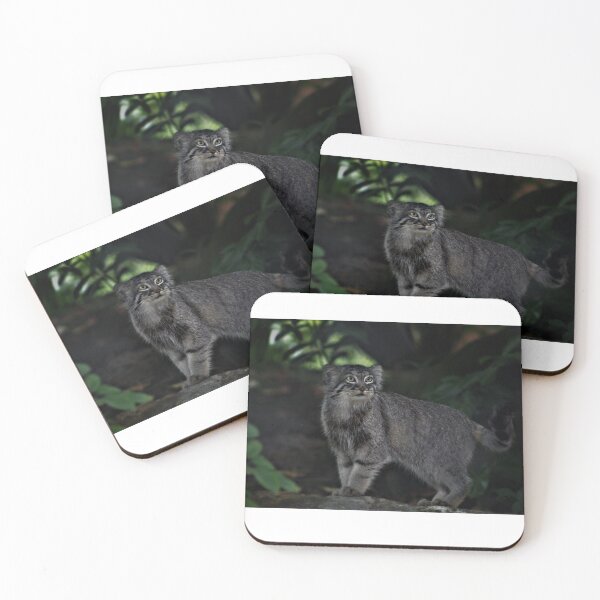 Item preview, Pallas Cat designed and sold by Ladymoose.