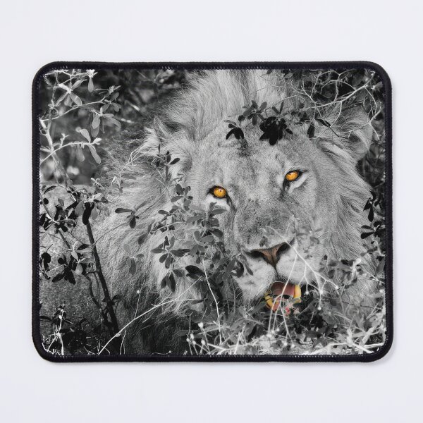 Item preview, Being Watched By a Lion designed and sold by Kay Brewer.
