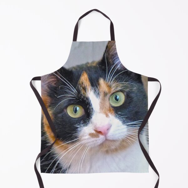 Item preview, Bandit designed and sold by Frankie Cat Photography.