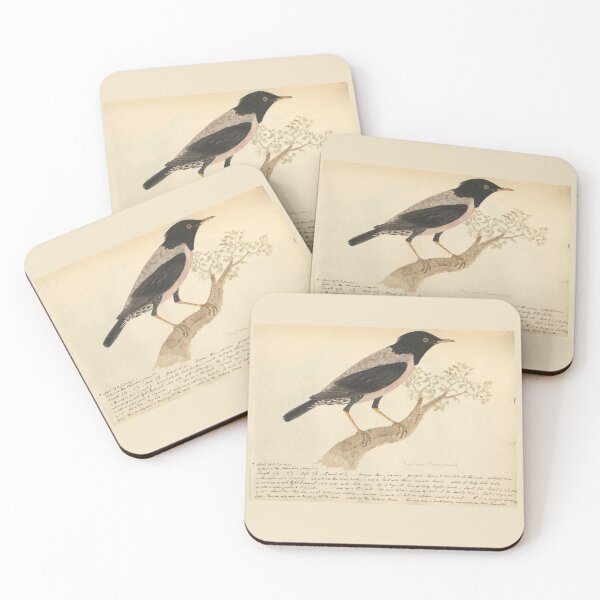 Item preview, Rosy Starling by Frederick John Shore designed and sold by Amanda1775.