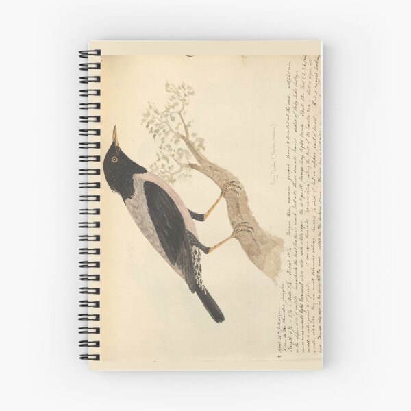 Item preview, Rosy Starling by Frederick John Shore designed and sold by Amanda1775.