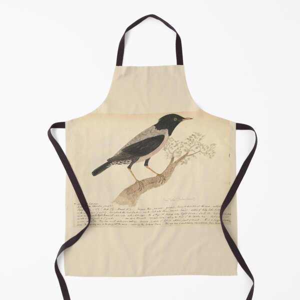 Item preview, Rosy Starling by Frederick John Shore designed and sold by Amanda1775.