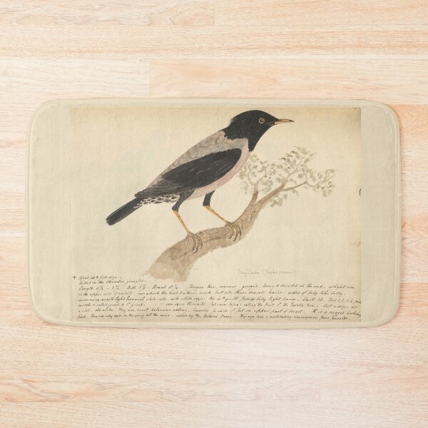 Item preview, Rosy Starling by Frederick John Shore designed and sold by Amanda1775.