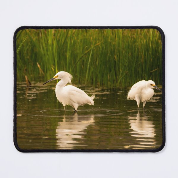 Item preview, Snowy Egrets Looking For Breakfast designed and sold by Debra Martz.