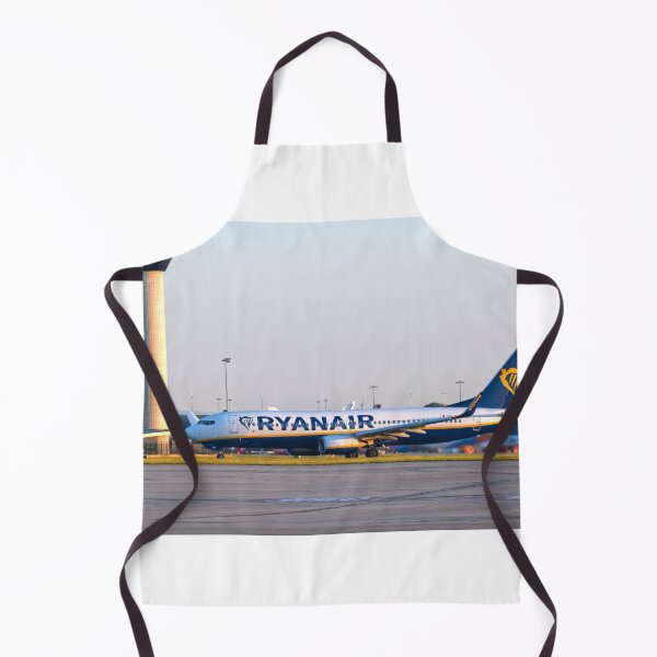 Item preview, Ryanair Boeing 737-8AS MAN to MAH designed and sold by Skyframe Aviation.