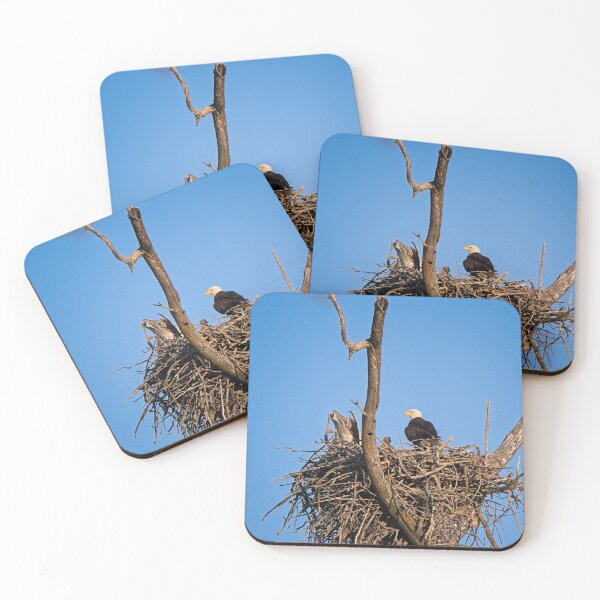 Item preview, Bald Eagle and Eaglet, UW Arboretum, Madison, WI designed and sold by StevenRalserPhoto.