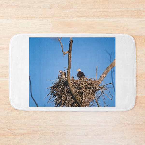 Item preview, Bald Eagle and Eaglet, UW Arboretum, Madison, WI designed and sold by StevenRalserPhoto.