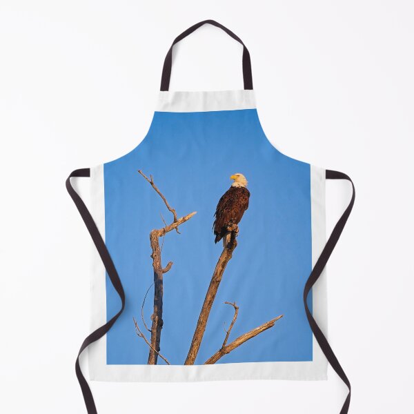 Item preview, Bald Eagle, UW Arboretum, Madison, WI designed and sold by StevenRalserPhoto.