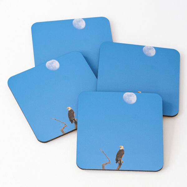 Item preview, Bald eagle and Full Moon, U Arboretum, MAdison, WI designed and sold by StevenRalserPhoto.