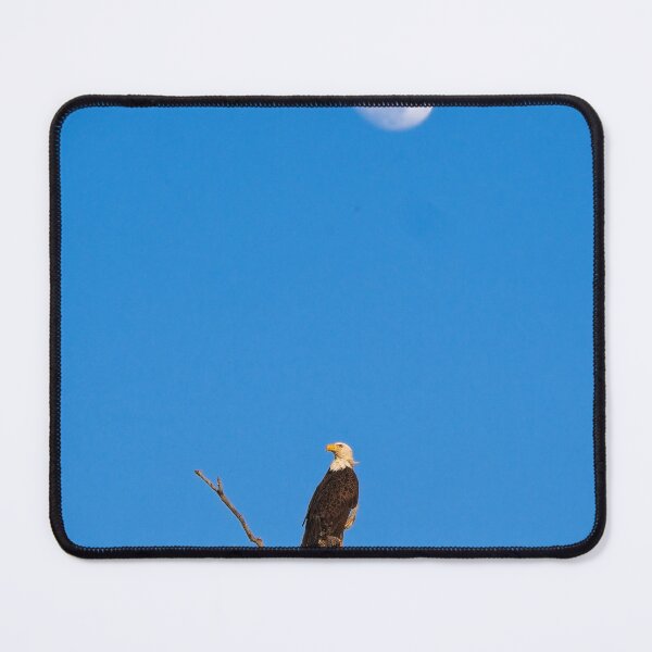Item preview, Bald eagle and Full Moon, U Arboretum, MAdison, WI designed and sold by StevenRalserPhoto.