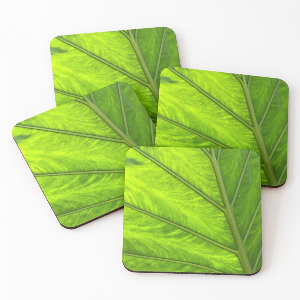 Item preview, Coasters (Set of 4) designed and sold by cactguy.