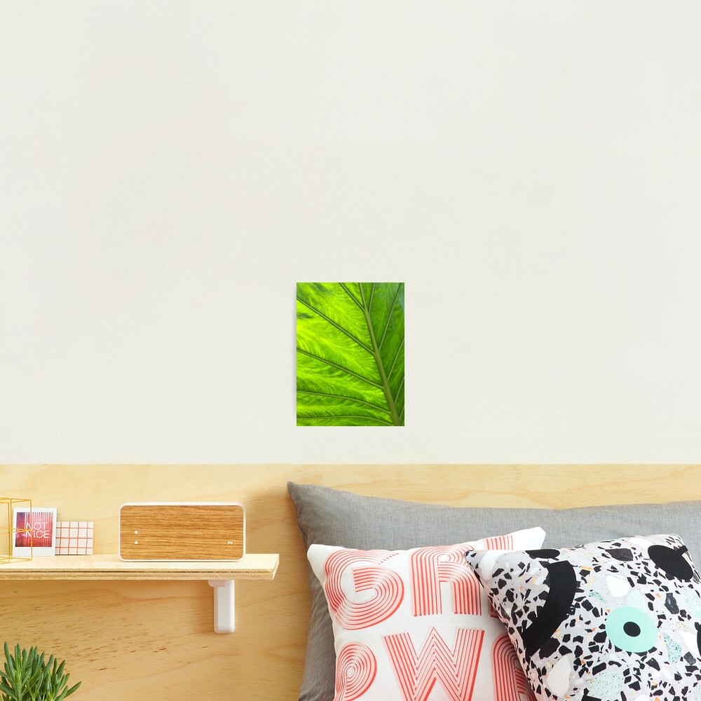 Item preview, Photographic Print designed and sold by cactguy.