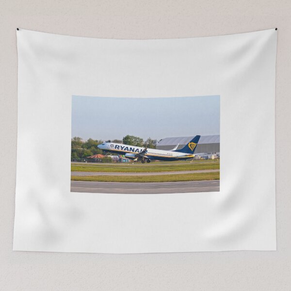Item preview, Ryanair Boeing 737-8AS MAN to MAH designed and sold by Skyframe Aviation.