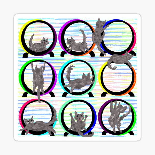 Cat Wheel Chaos - Funny Grey Cats - Exercise Running Wheel - Pet Doodles Sticker