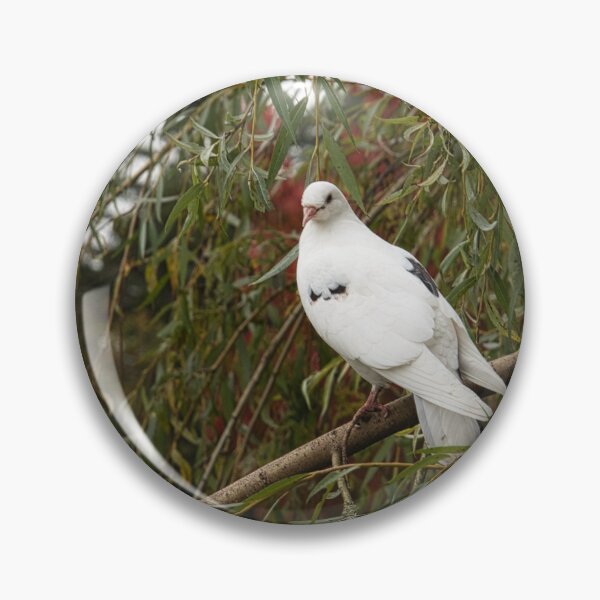 Item preview, I want to be all white designed and sold by Kerry LeBoutillier.