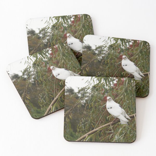 Item preview, I want to be all white designed and sold by Kerry LeBoutillier.