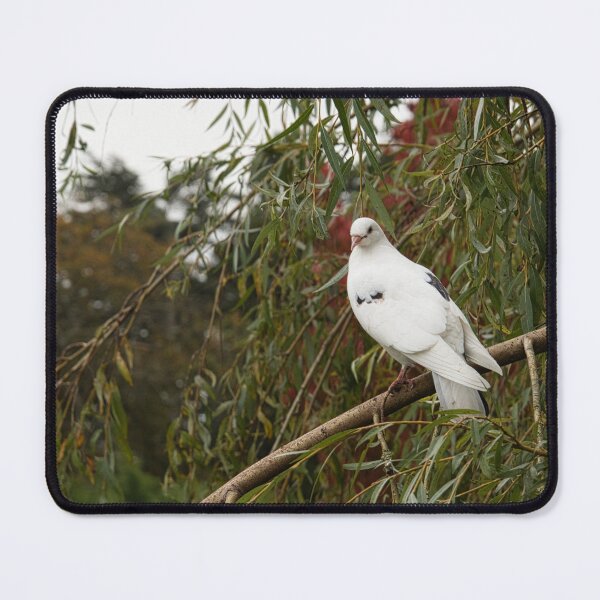 Item preview, I want to be all white designed and sold by Kerry LeBoutillier.