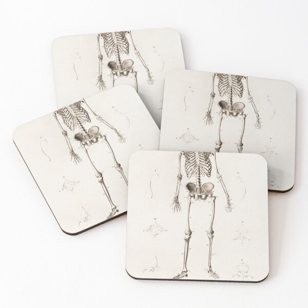 Item preview, Human Anatomy designed and sold by GrilldCheese.